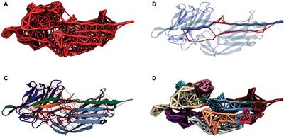 May the force be with you: The role of hyper-mechanostability of the bone sialoprotein binding protein during early stages of Staphylococci infections